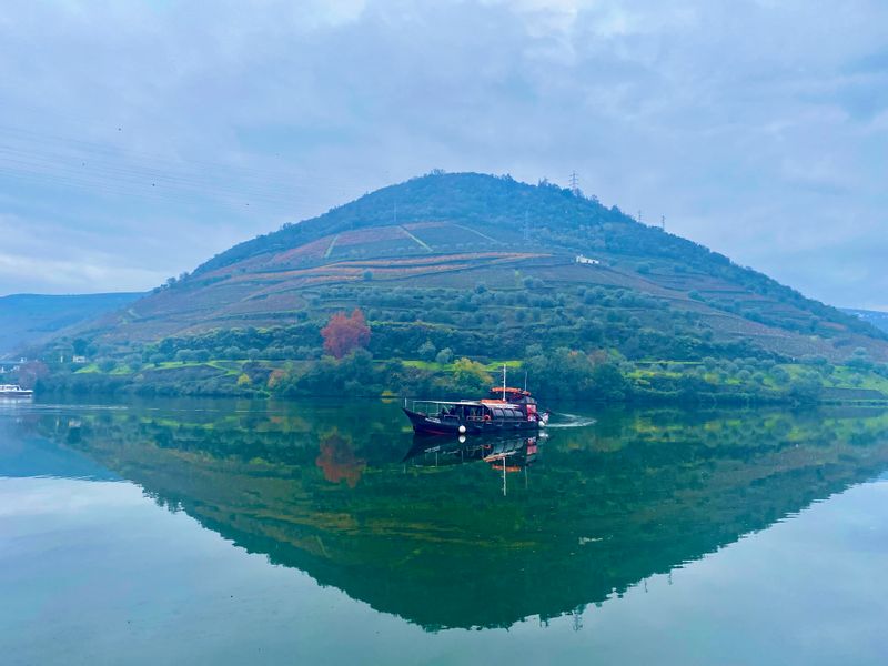 Porto Private Tour - Breathtaking Douro scenery