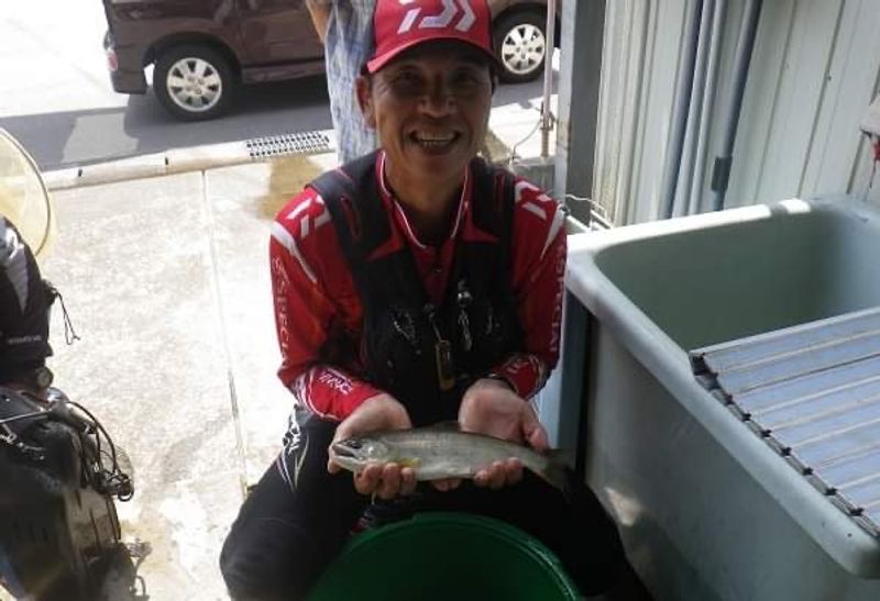 Gifu Private Tour - Natural Amago fish 