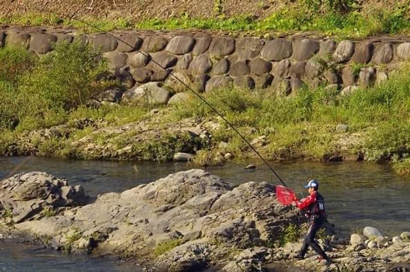 Gifu Private Tour - Ayu/Sweet fish fishing 