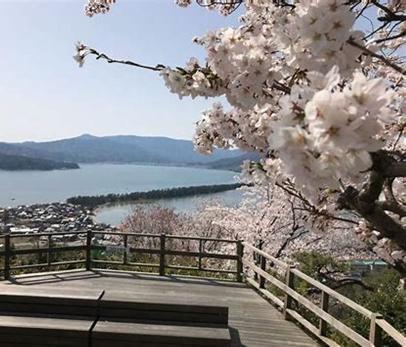 Kyoto Private Tour - The spring view of the park. The park is accommodated with a viewing deck and the cable car system to go up.