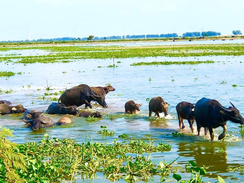 Siem Reap Private Tour - null