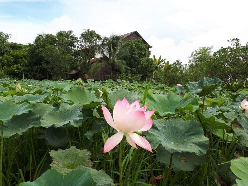 Siem Reap Private Tour - null