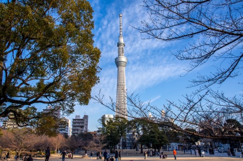 Tokyo Private Tour - Parque Sumida y la Torre de Tokio Skytree