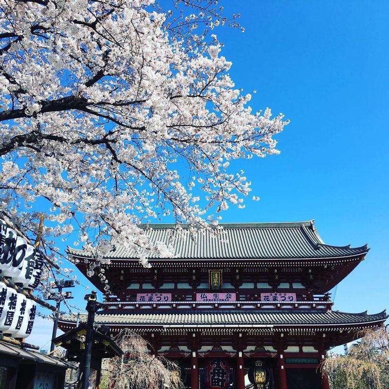 Tokyo Private Tour - Asakusa Sensoji temple