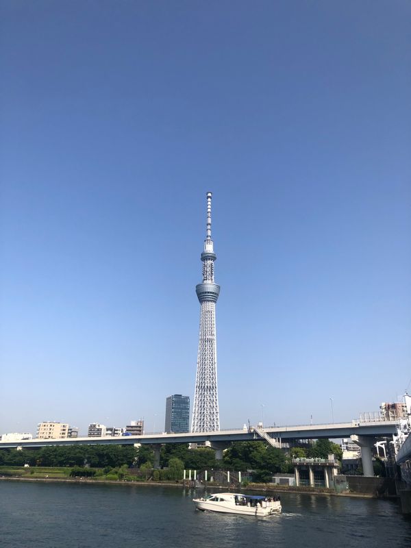 Tokyo Private Tour - Tokyo Skytree from Asakusa