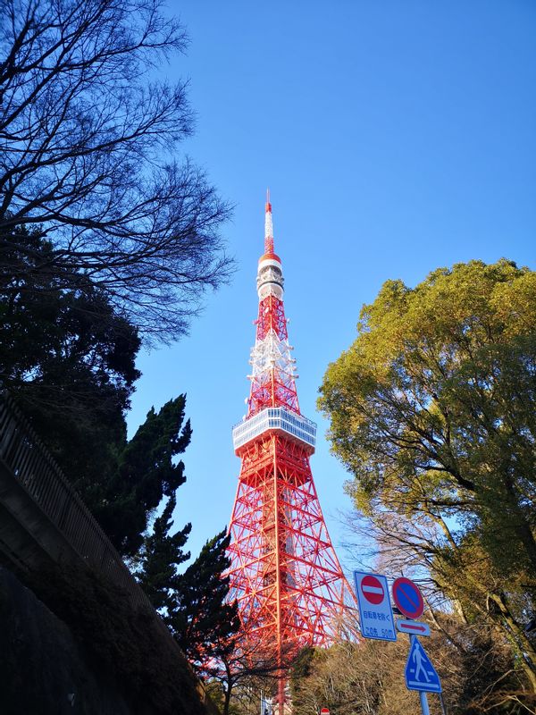 Tokyo Private Tour - Tokyo tower