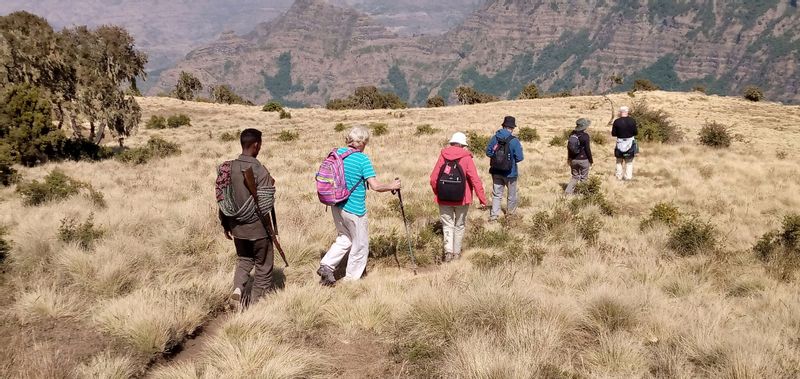 Addis Ababa Private Tour - Hiking in the Simen Mountains NP