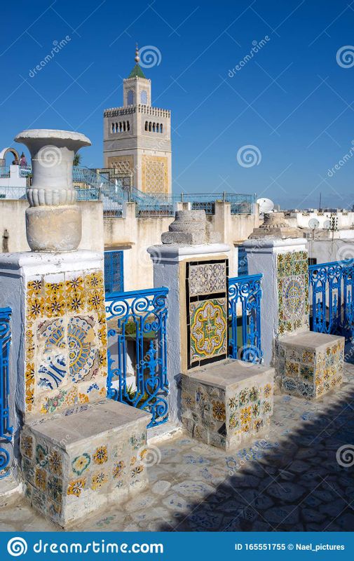 Tunis Private Tour - Panorama Palace