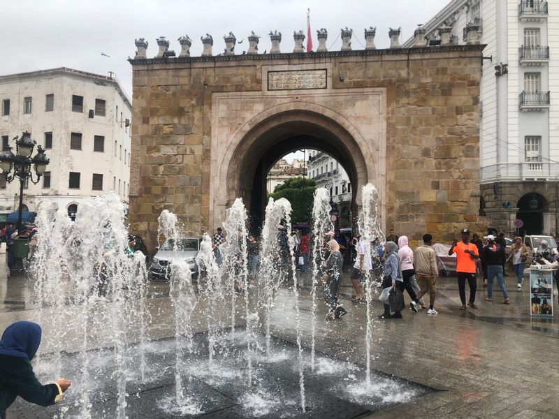 Tunis Private Tour - Bab bhar