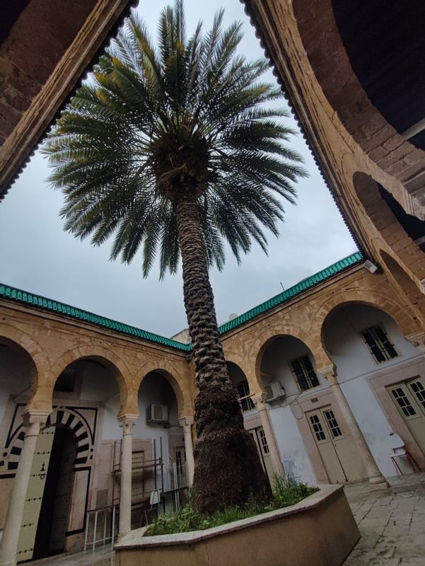 Tunis Private Tour - Medressa Nakhla 