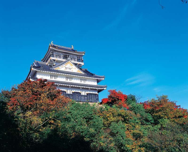 Aichi Private Tour - Gifu Castle stands on the top of Mt. Kinka, providing stunning views of Gifu City and the surrounding areas. 