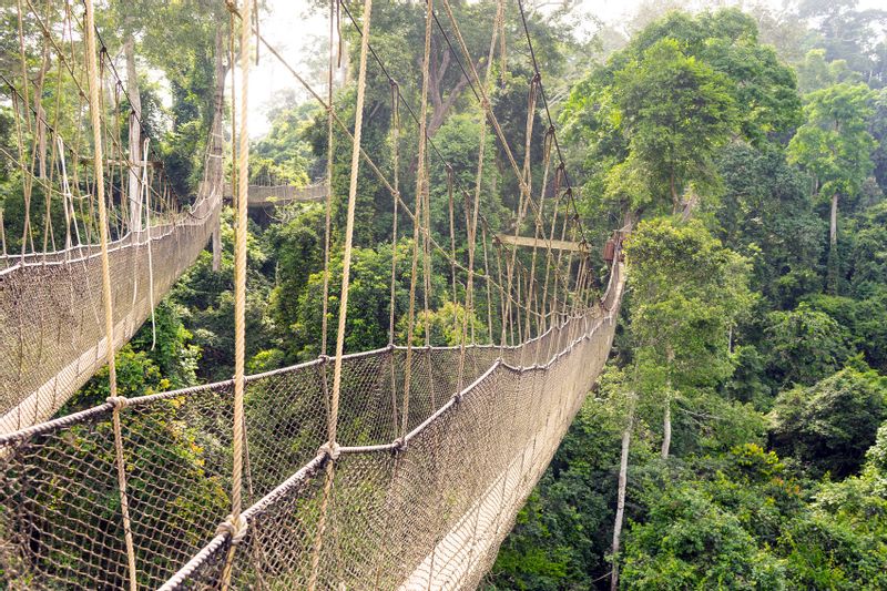 Accra Private Tour - Kakum National Park, Cape Coast