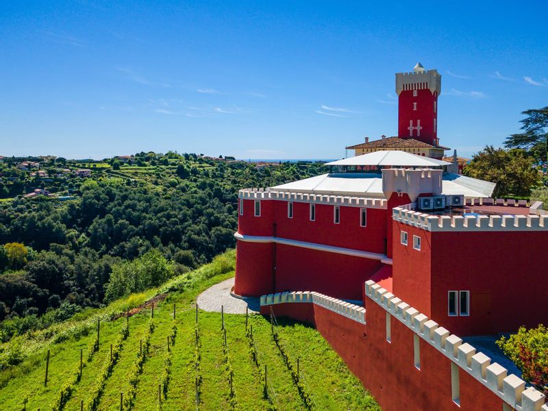 Nice Private Tour - Cremat castle wine domain