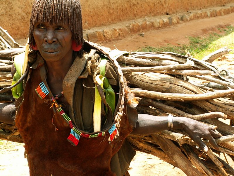 Addis Ababa Private Tour - Hamer woman carrying wood tomarket/Turmi, Omo valley