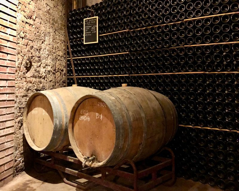 Barcelona Private Tour - Discover the cellar where cava is stored