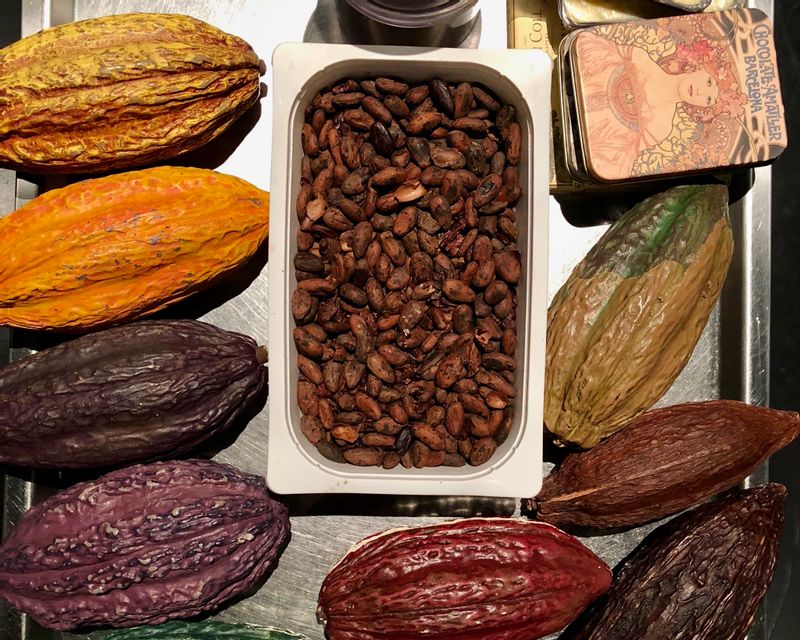 Barcelona Private Tour - Cocoa pods and beans are the key ingredient for chocolate