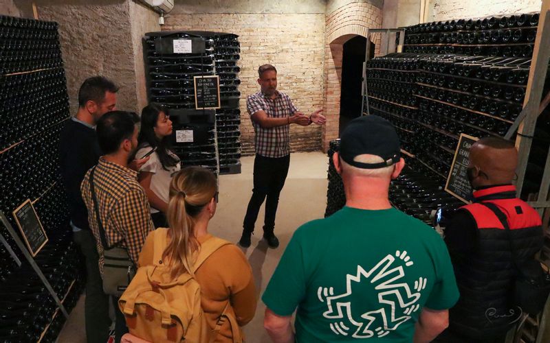 Barcelona Private Tour - Learn about the arts of Cava making while touring the cellar 