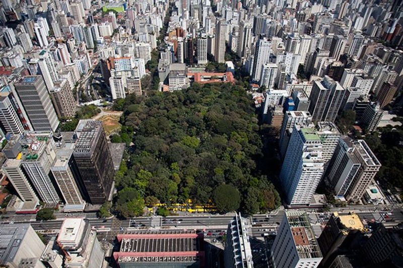 Sao Paulo Private Tour - Trianon park