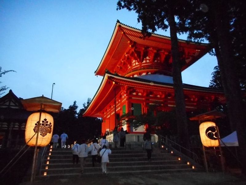 Mount Koya Private Tour - null