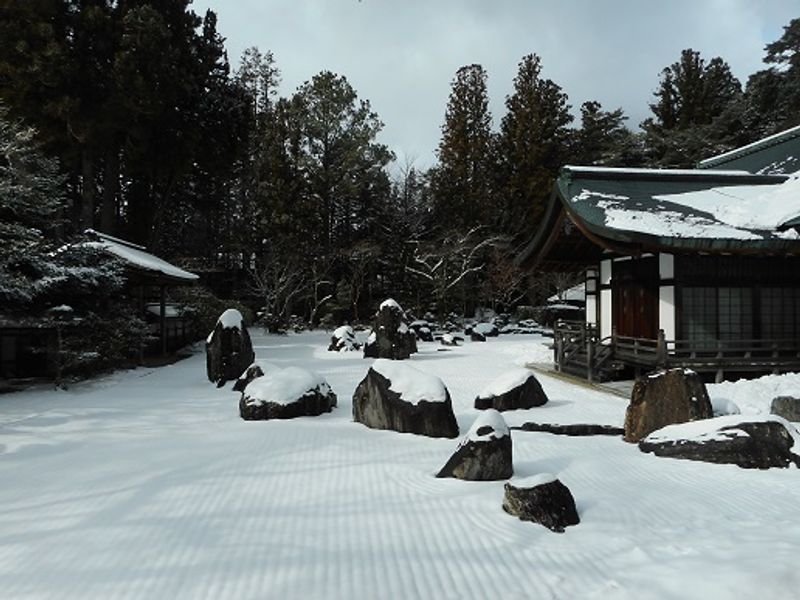 Mount Koya Private Tour - null