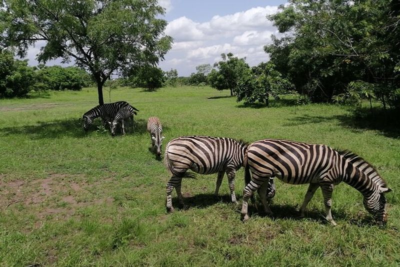 Accra Private Tour - Shai Hills