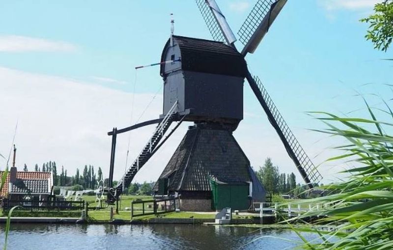 Rotterdam Private Tour - Kinderdijk Landscape