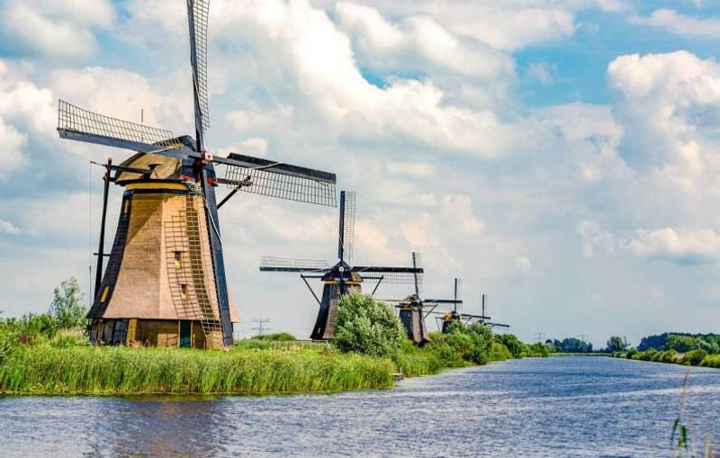 Rotterdam Private Tour - Kinderdijk landscape