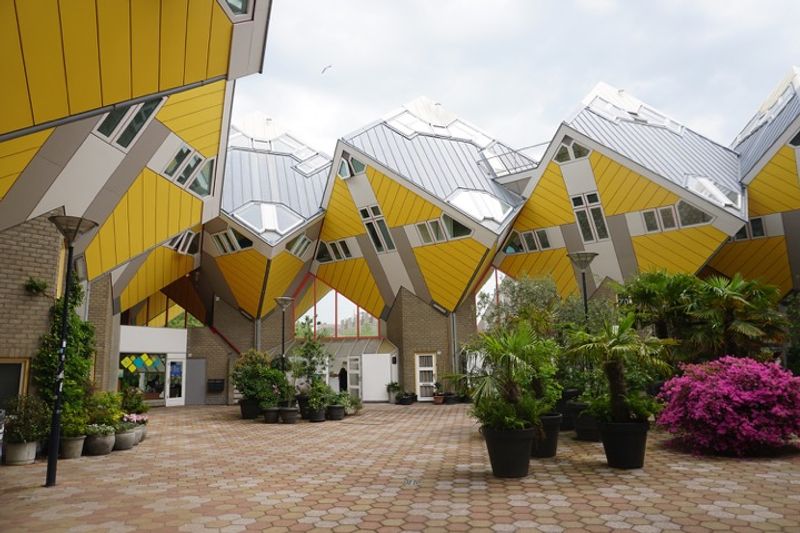 Rotterdam Private Tour - Cube houses