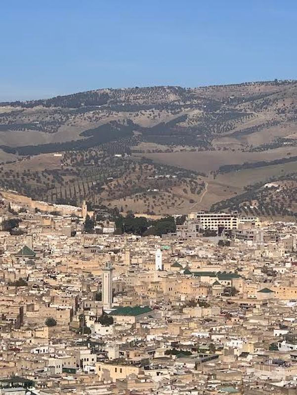 Fes Private Tour - null