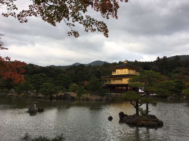 Kyoto Private Tour - Kinkakuji  temple 