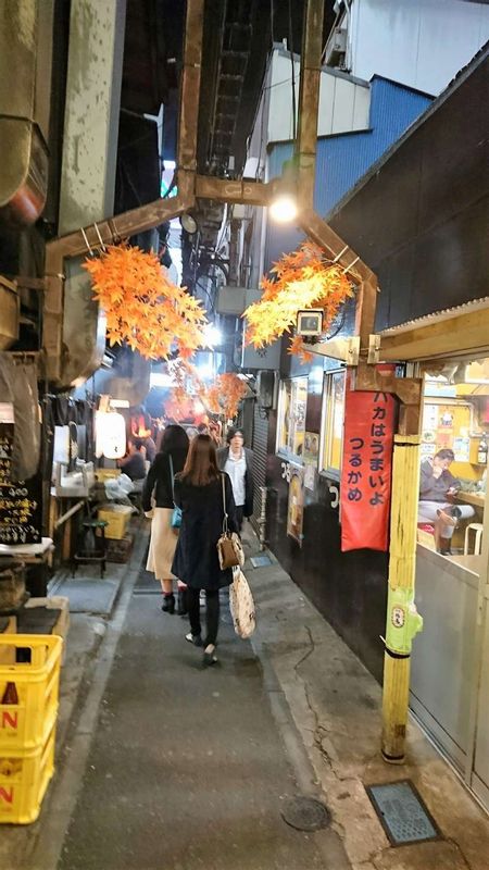 Tokyo Private Tour - Somewhere nostalgic " Drunken street "