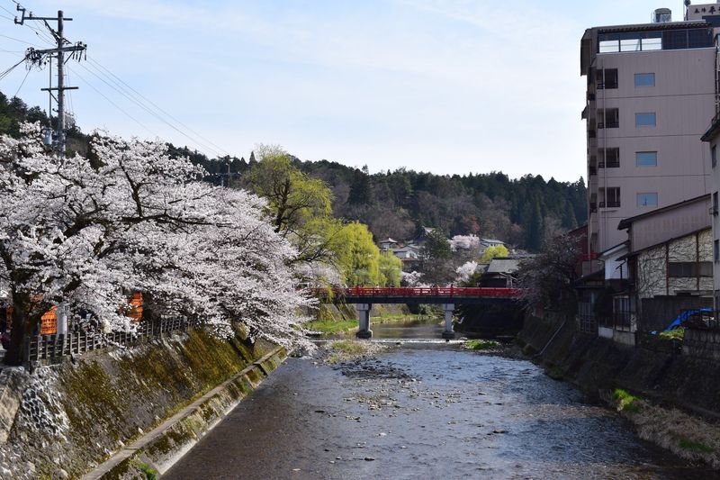 Takayama Private Tour - null