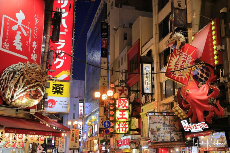 Osaka Private Tour - Night Scene on Neon Sign Moscot