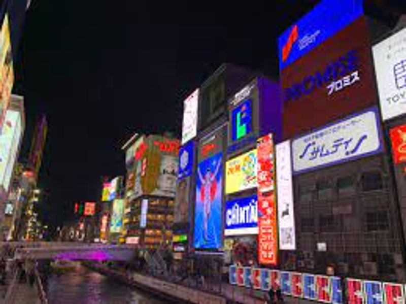 Osaka Private Tour - Night Scene from The River Side