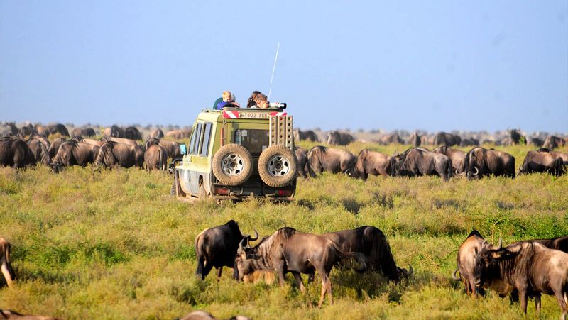 Arusha Private Tour - null