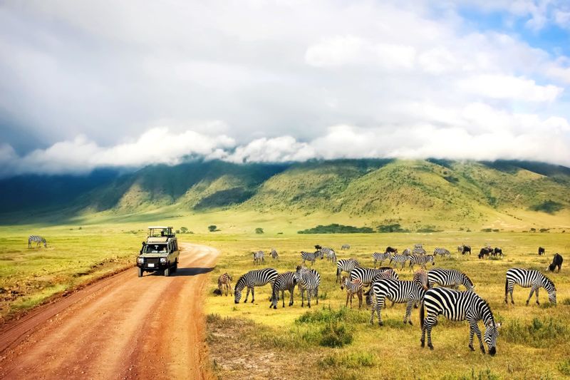 Arusha Private Tour - null