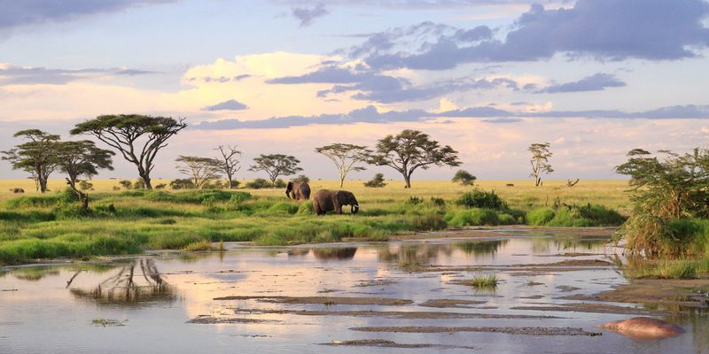 Arusha Private Tour - null