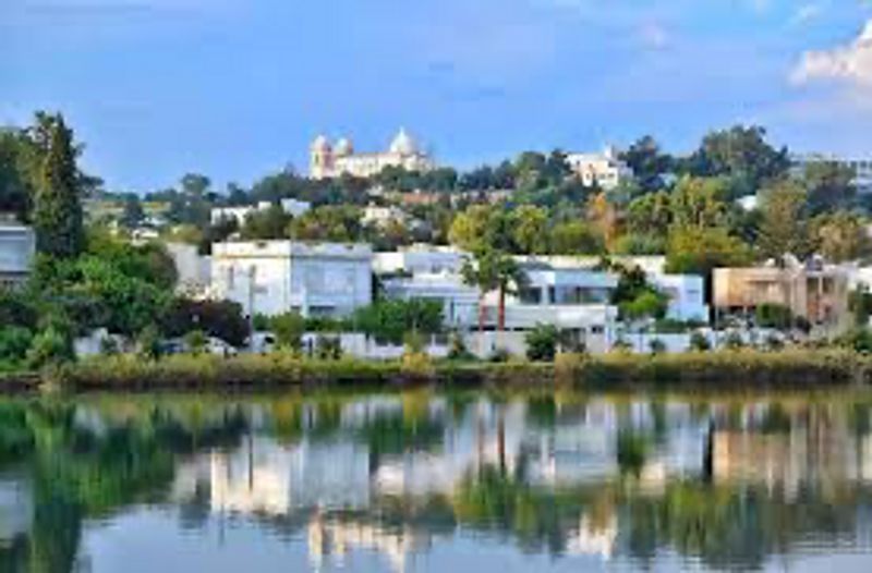 Tunis Private Tour - null