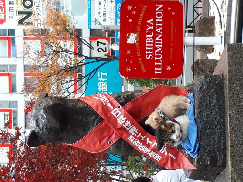 Tokyo Private Tour - Shibuya Hachi dog statue by world famous scramble crossing