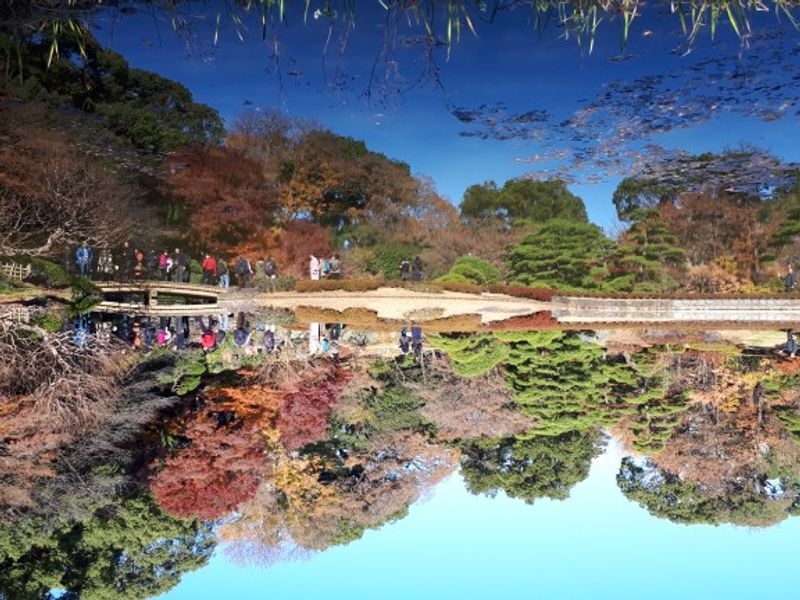 Tokyo Private Tour - Imperial Palace Garden