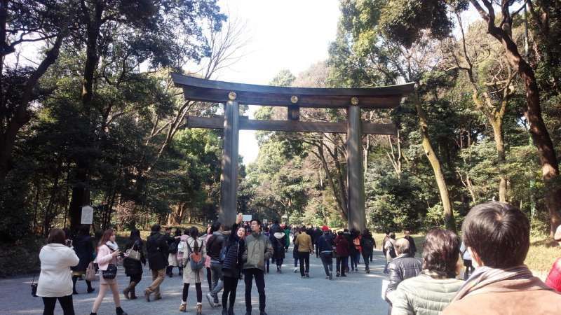 Tokyo Private Tour - Meiji-jingu Shrine gate. The most popular power spot in Tokyo dedicated to the Emperor Meiji attracting over three million worshipers in the New Year holidays. 