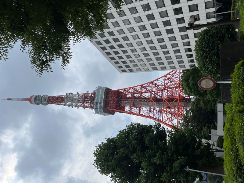 Tokyo Private Tour - Tokyo Tower