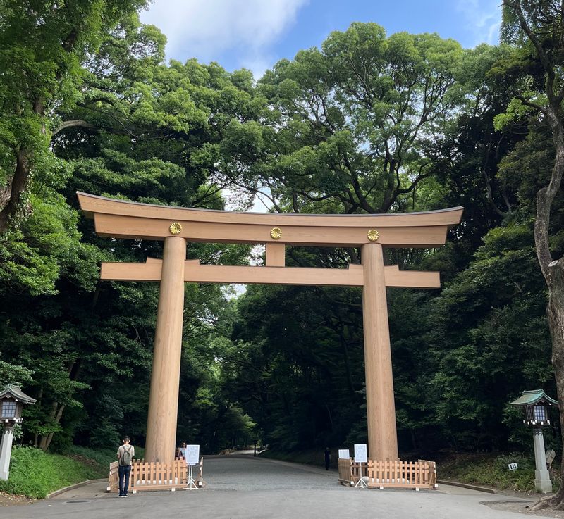 Tokyo Private Tour - The first torii, archway to Meiji-jingu Shrine