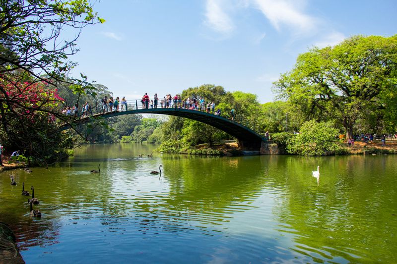 Sao Paulo Private Tour - null