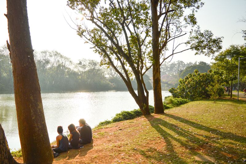 Sao Paulo Private Tour - "Parque do Ibirapuera" by Danilo Vitoriano is licensed under CC BY 2.0.