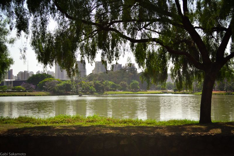 Sao Paulo Private Tour - "Parque do Ibirapuera (São Paulo-SP)" by Gabi Sakamoto (Gah'Be) is licensed under CC BY 2.0.