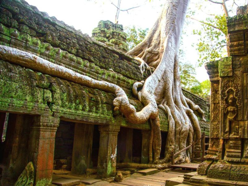 Siem Reap Private Tour - Taprom Temple 