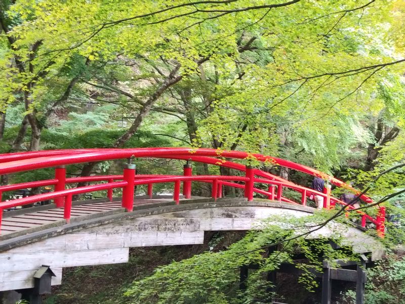 Gunma Private Tour - [Optional] Kajika Bridge