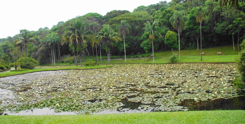 Sao Paulo Private Tour - Lago das Ninféias