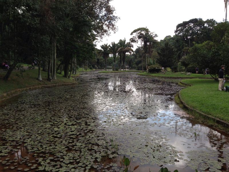 Sao Paulo Private Tour - Lago das Ninféias